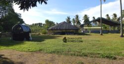 GOOD INVESTMENT FARM PROPERTY FOR SALE IN DAUIN ‼️