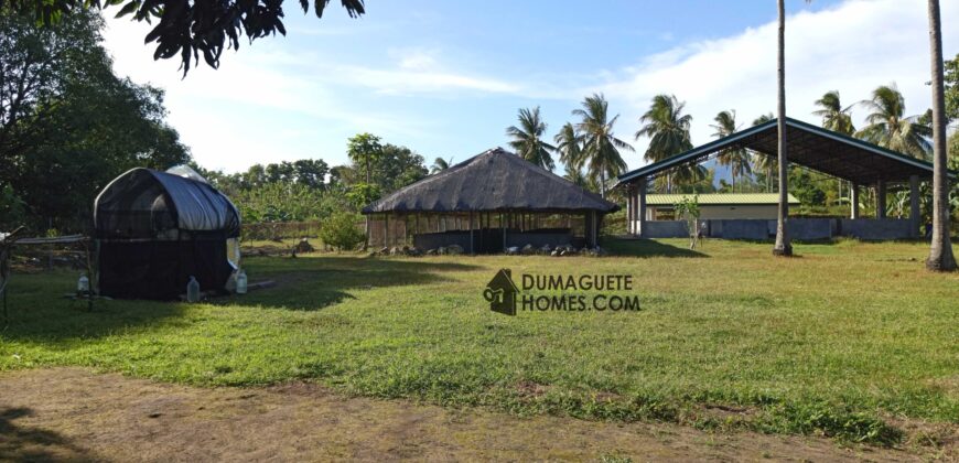 GOOD INVESTMENT FARM PROPERTY FOR SALE IN DAUIN ‼️