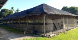 GOOD INVESTMENT FARM PROPERTY FOR SALE IN DAUIN ‼️