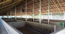 GOOD INVESTMENT FARM PROPERTY FOR SALE IN DAUIN ‼️