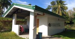 GOOD INVESTMENT FARM PROPERTY FOR SALE IN DAUIN ‼️