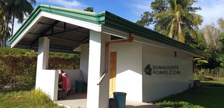 GOOD INVESTMENT FARM PROPERTY FOR SALE IN DAUIN ‼️